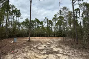 54 Sundance Rd, Defuniak Springs, FL 32435 - Photo 1