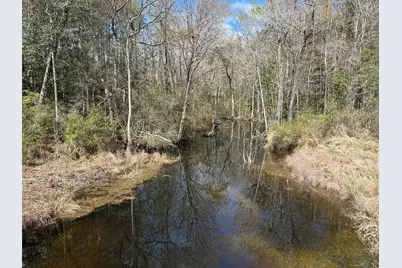 Tract#6409 Davis Road, Caryville, FL 32427 - Photo 3
