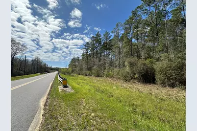 Tract#6409 Davis Road, Caryville, FL 32427 - Photo 7