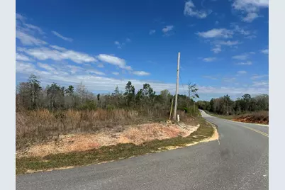 Tract#6409 Davis Road, Caryville, FL 32427 - Photo 5