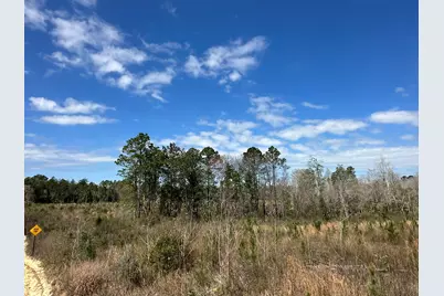 Tract#6409 Davis Road, Caryville, FL 32427 - Photo 1
