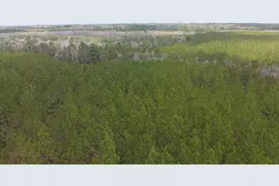 Tract#6418 S Mattox Springs Road, Caryville, FL 32427 - Photo 1