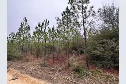 Tract#6418 S Mattox Springs Road, Caryville, FL 32427 - Photo 1