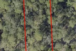 Tbd Spirit Bear Way, Freeport, FL 32439 - Photo 1