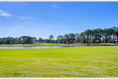 2521 Vineyard Lane, Miramar Beach, FL 32550 - Photo 45