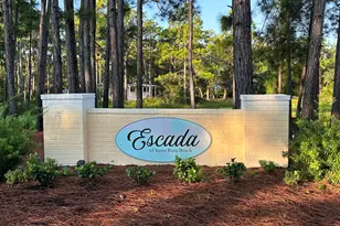 204 Via Largo, Santa Rosa Beach, FL 32459 - Photo 43