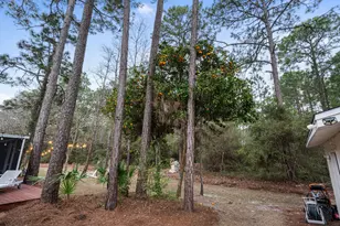 242 Hamon Ave, Santa Rosa Beach, FL 32459 - Photo 85