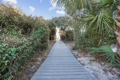 461 Blue Mountain Road, Santa Rosa Beach, FL 32459 - Photo 51