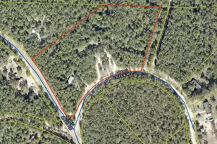 87 Adams Creek Rd, Defuniak Springs, FL 32433 - Photo 1
