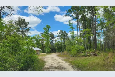 3002 W State Highway 20, Freeport, FL 32439 - Photo 19