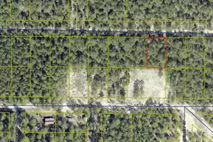 Lot 29 E Box Elder Dr, Defuniak Springs, FL 32433 - Photo 1