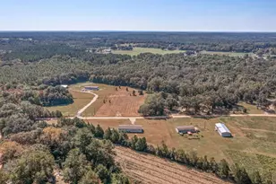 3139 Creek Rd, Bonifay, FL 32425 - Photo 37
