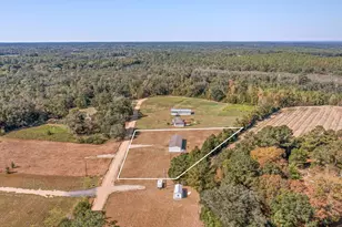 3139 Creek Rd, Bonifay, FL 32425 - Photo 35