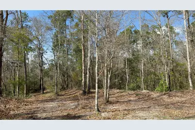 00 Native Creek Road, Milton, FL 32571 - Photo 11
