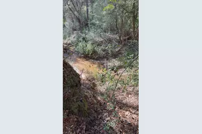 000 Native Creek Road, Milton, FL 32571 - Photo 9