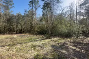 000 Native Creek Rd, Milton, FL 32571 - Photo 1