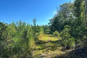 Parcel D1 Millside, Laurel Hill, FL 32567 - Photo 1