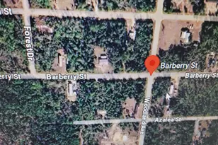 0 Barberry St, Fountain, FL 32438 - Photo 1