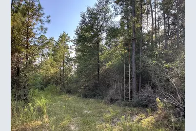 A, B, & C New Ebenezer Road, Laurel Hill, FL 32567 - Photo 5