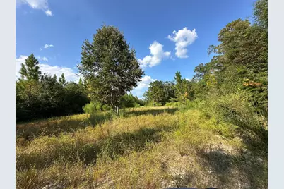 A, B, & C New Ebenezer Road, Laurel Hill, FL 32567 - Photo 1