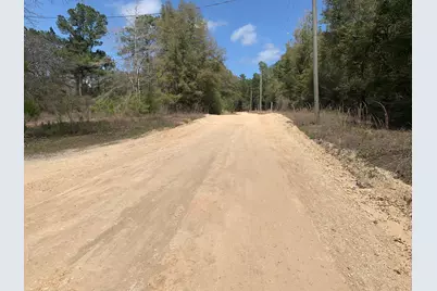 163 Tim Boland Road, Defuniak Springs, FL 32435 - Photo 1