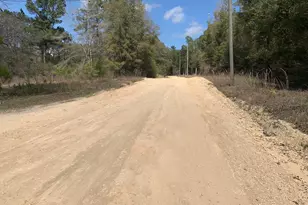 163 Tim Boland Rd, Defuniak Springs, FL 32435 - Photo 1
