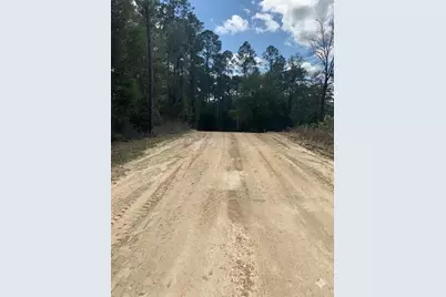 163 Tim Boland Road, Defuniak Springs, FL 32435 - Photo 5