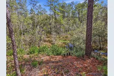 Tbd Clearwater Drive #LOTS 50 & 51, Defuniak Springs, FL 32433 - Photo 3
