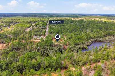 Tbd Clearwater Drive #LOTS 50 & 51, Defuniak Springs, FL 32433 - Photo 11