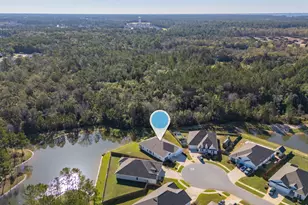 48 Hammock Cir, Freeport, FL 32439 - Photo 47