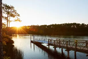 1009 Suwannee Dr, Watersound, FL 32461 - Photo 27