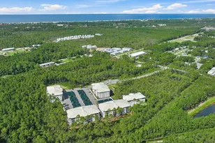 179 S County Hwy 393, Santa Rosa Beach, FL 32459 - Photo 39