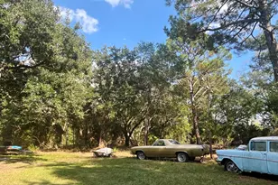 75 Hankins Rd, Freeport, FL 32439 - Photo 5