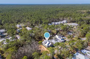 53 W Georgie St, Santa Rosa Beach, FL 32459 - Photo 51