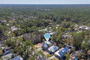 53 W Georgie St, Santa Rosa Beach, FL 32459 - Photo 49