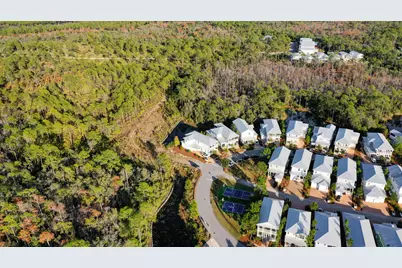 398 Flatwoods Forest Loop, Santa Rosa Beach, FL 32459 - Photo 7