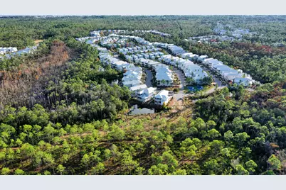 398 Flatwoods Forest Loop, Santa Rosa Beach, FL 32459 - Photo 9