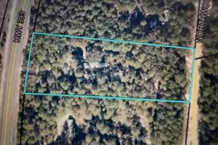 5473 Hwy 393, Crestview, FL 32539 - Photo 1