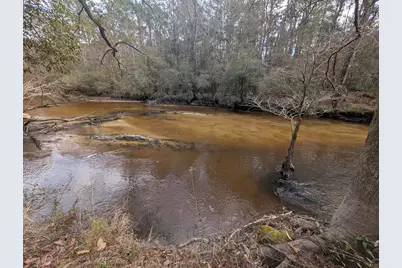 Lot 9 Plantation Lane, Defuniak Springs, FL 32433 - Photo 3