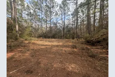 Lot 9 Plantation Lane, Defuniak Springs, FL 32433 - Photo 13