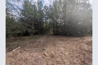Lot 9 Plantation Lane, Defuniak Springs, FL 32433 - Photo 11