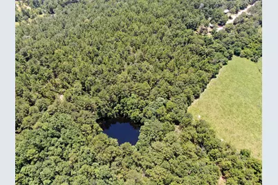 5207 S US Highway 331, Defuniak Springs, FL 32435 - Photo 5