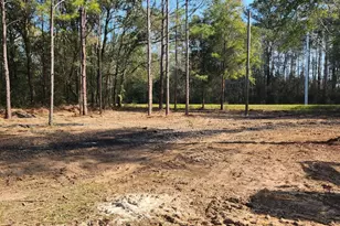 2782 Hwy 81, Ponce de Leon, FL 32455 - Photo 1