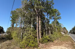 Lot 13 13th St, Santa Rosa Beach, FL 32459 - Photo 1