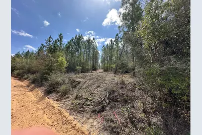 Tract#6418 Mattox Springs, Caryville, FL 32427 - Photo 1