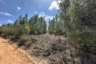 Tract#6418 Mattox Springs, Caryville, FL 32427 - Photo 1