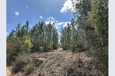 Tract#6418 Mattox Springs, Caryville, FL 32427 - Photo 3