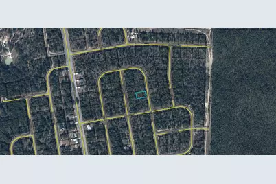 Lot 9 Velvet Drive, Chipley, FL 32428 - Photo 1