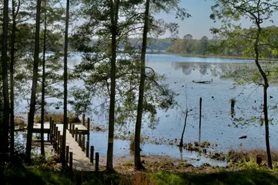 15 Holly Lake Court, Defuniak Springs, FL 32433 - Photo 5