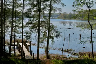 15 Holly Lake Ct, Defuniak Springs, FL 32433 - Photo 5